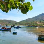 Bỏ túi kinh nghiệm du lịch bụi làng chài Hải Minh ven biển Quy Nhơn